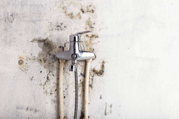 Best Mold Testing  in Sunnyvale, CA