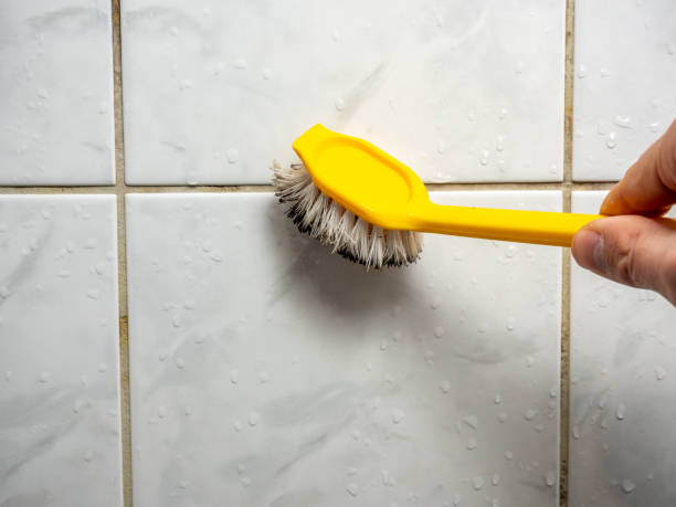 Best Black Mold Removal  in Sunnyvale, CA