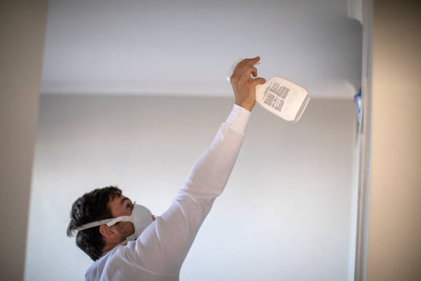 Best Certified Mold Removal  in Sunnyvale, CA