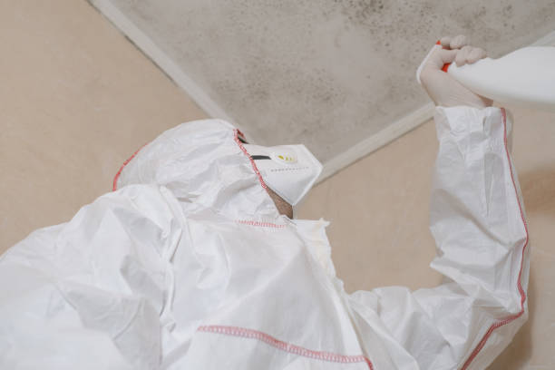 Best Crawl Space Mold Removal  in Sunnyvale, CA
